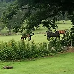 Le Champ Madame Semesterbostad Stavelot