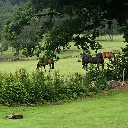 Le Champ Madame Feriehus Stavelot