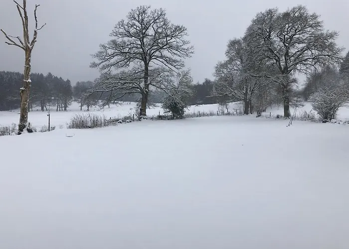 Le Champ Madame * スタヴロ